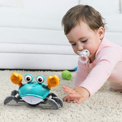 crabe-rampant-avec-bebe