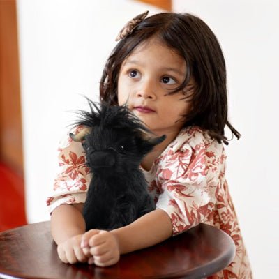 peluche-vache-couleur-noir